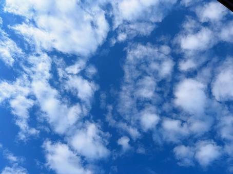 青く澄んだ空に散らばる白い雲 青空,雲,白い雲の写真素材