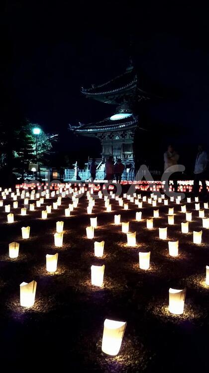 しょうとうえの灯り ぬくもり,ゆらぎ,仏の写真素材