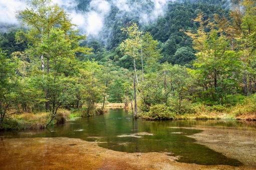 初秋の上高地(雨上がりの田代池) 初秋の上高地(雨上がりの田代池)の写真