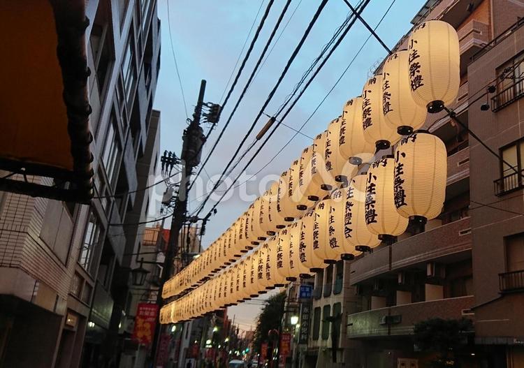 まつりの提灯 提灯,祭り,季節の写真素材