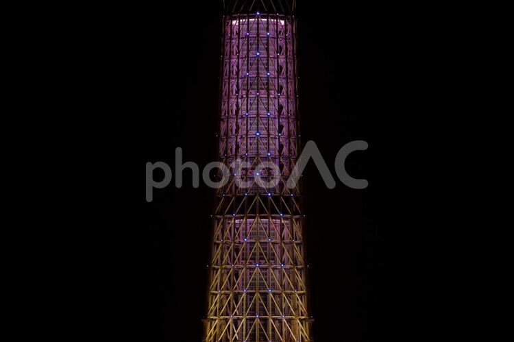 シンメトリー 不動産,東京,東京都の写真素材