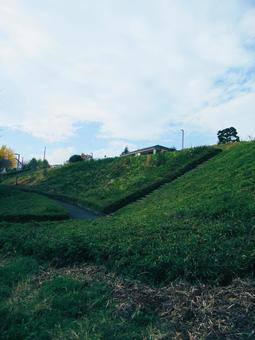 秋の風景の写真