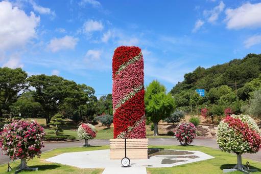 7月中旬のさぬきフラワーガーデンの花 7月中旬のさぬきフラワーガーデンの花の写真