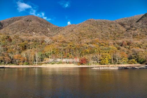 大沼の紅葉 風景,青空,晴れの写真素材