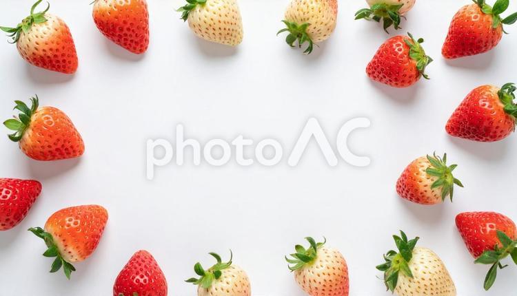 イチゴのフレーム　背景素材　 イチゴ,たくさん,白バックの写真素材