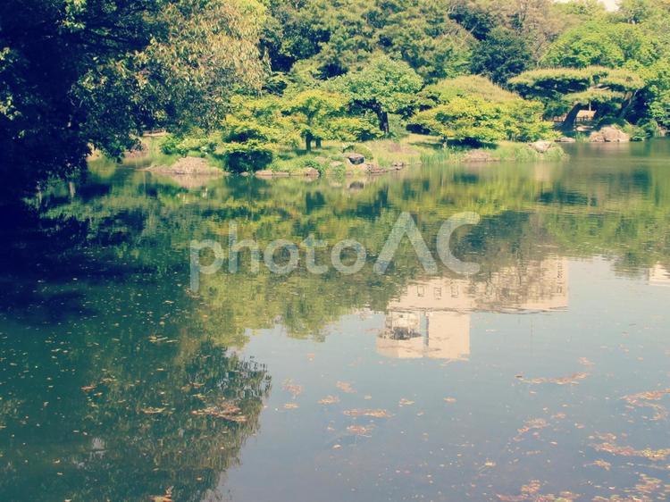 香川県-栗林公園-群鴨池 栗林公園,公園,特別名勝の写真素材