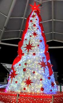 優しいイルミネーション クリスマスツリー,風景,インテリアの写真素材