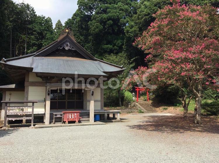 御殿場の神社 富士山,御殿場口,自然の写真素材