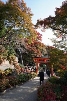パワースポット　勝尾寺⑳　弁財天　鳥居 パワースポット,勝尾寺,弁財天の写真素材