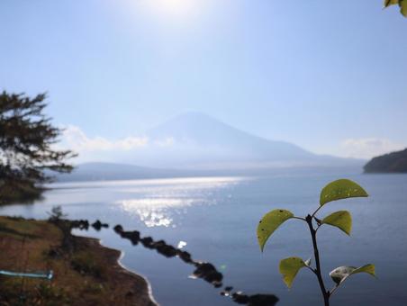 富士山 202309 (36) 富士山 202309 (36)の写真