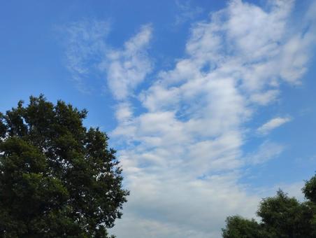 6月28日の空 6月28日の空の写真