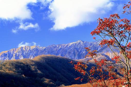 晩秋の鳥取大山の紅葉・奥大山 晩秋の鳥取大山の紅葉・奥大山 大山,奥大山,秋の写真素材