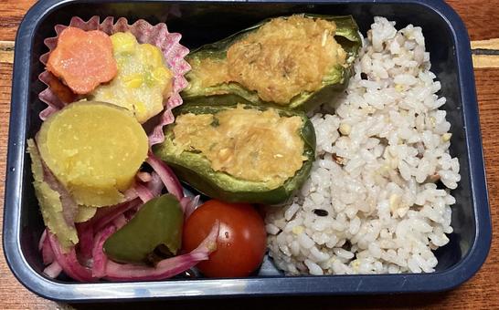 ピーマン肉詰め節約弁当 ピーマン肉詰め節約弁当 節約弁当,弁当,手作り弁当の写真素材