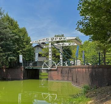 アオコが繁殖した水路2 アオコ,藍藻,富栄養の写真素材