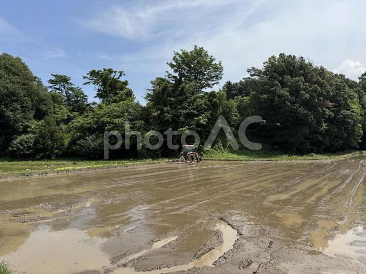 代かき中の田んぼ 田んぼ,代かき,水田の写真素材