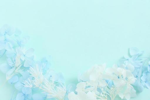青い花の背景 青い花の背景の写真