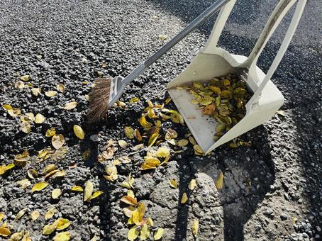 掃き掃除 落ち葉,落ち葉掃き,掃き掃除の写真素材