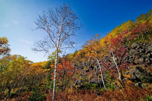 千畳くずれと紅葉 千畳くずれと紅葉 千畳くずれ,紅葉,然別の写真素材