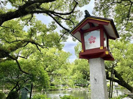 太宰府天満宮（灯篭） 太宰府天満宮,太宰府,灯籠の写真素材
