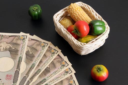 野菜とお金の対比 野菜とお金の対比 野菜,お金,トマトの写真素材