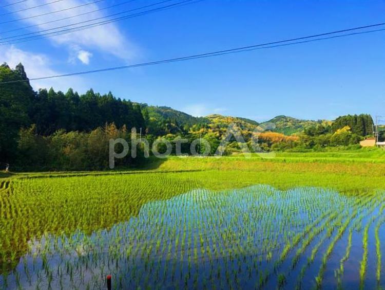 田んぼと青空と山 背景,夏,空の写真素材