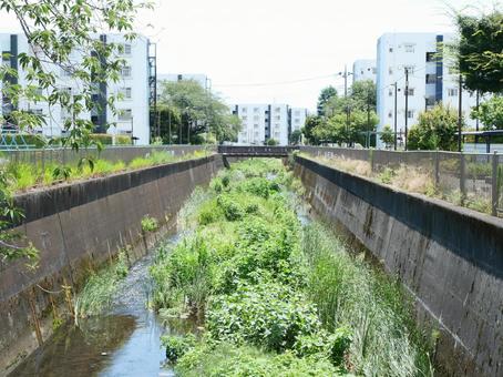 橋から見た川 橋から見た川の写真