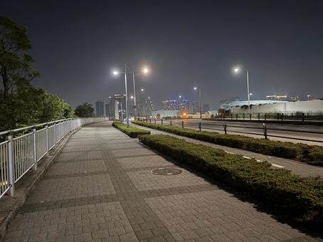 豊洲に至る道 豊洲に至る道の写真