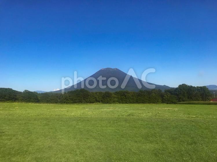 夏の羊蹄山と草原 羊蹄山,夏,北海道の写真素材