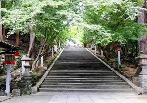 法輪寺参道 法輪寺参道の写真