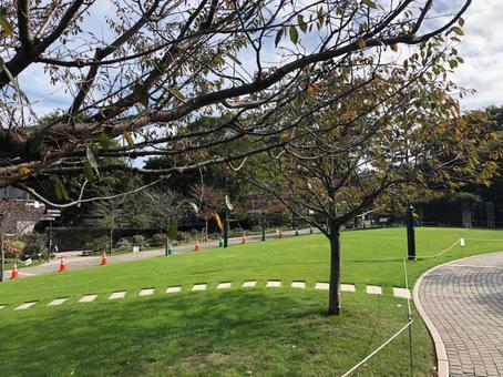 公園 公園の写真