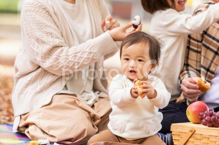 秋の公園で遊ぶ家族・赤ちゃん 赤ちゃん,家族,ピクニックの写真素材