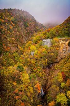 福島県　磐梯吾妻スカイラインの風景 磐梯吾妻スカイライン,福島,福島県の写真素材