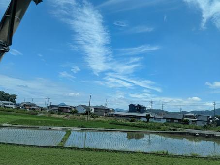 田植えしたばかりの水田 田植えしたばかりの水田 水田,田んぼ,米の写真素材