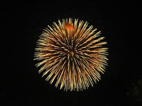 金色の花火 金色の花火 花火,夜空,夜の写真素材