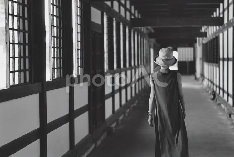 日本のお寺を見学する女性イメージ 寺,神社,仏閣の写真素材