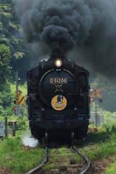 SLやまぐち号 D51 SLやまぐち号 D51の写真