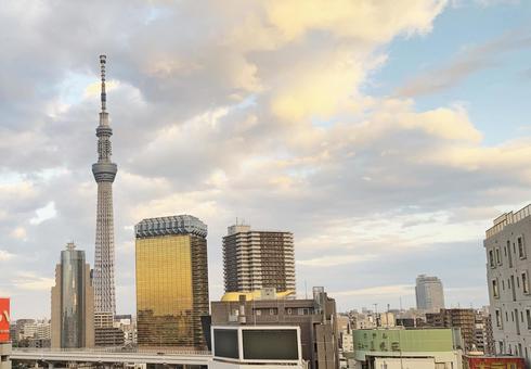 浅草から見たスカイツリー タワー 浅草から見たスカイツリー タワー 浅草,スカイツリー,タワーの写真素材