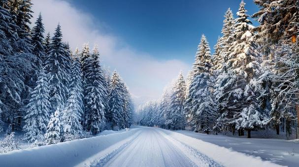 冬の公園 自然,小道,美しいの写真素材