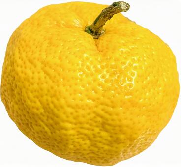 ヘタ付きのゆず果実　切り抜き 柚子,psd,切り抜きの写真素材