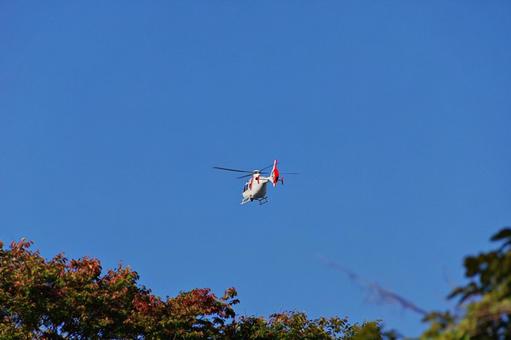 紅葉の梢の上のヘリコプター ヘリコプター,航空機,飛行の写真素材