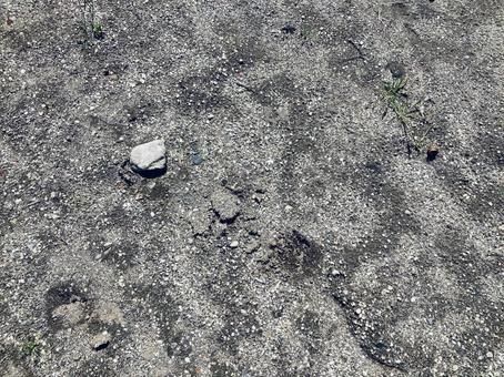 Photo, ground, pattern, texture, 