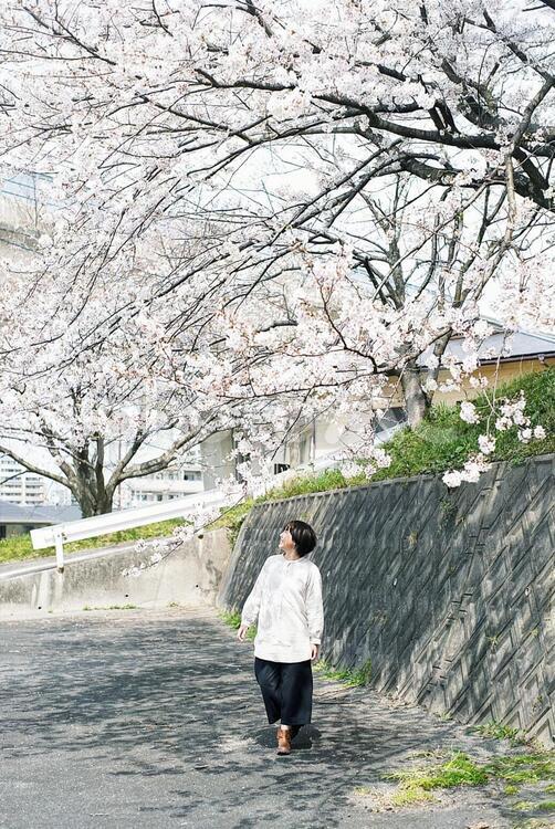 桜の木のそばで佇む女の子 さくら,サクラ,sakuraの写真素材