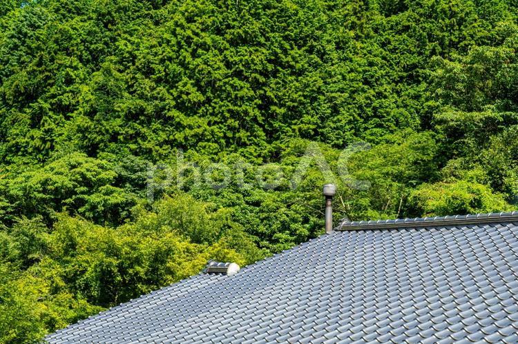 夏の新緑と瓦屋根 瓦屋根,森林,煙突の写真素材