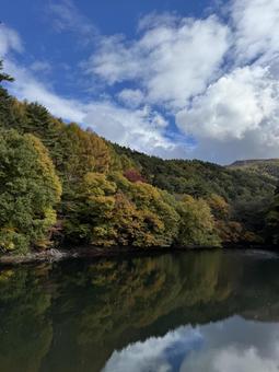 晩秋の大沢の堤の紅葉 大沢の堤,信州,松本市の写真素材