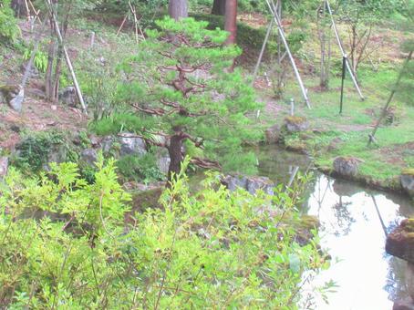 新潟県-旧関山宝蔵院庭園 新潟県-旧関山宝蔵院庭園 旧関山宝蔵院,庭園,国指定名勝の写真素材