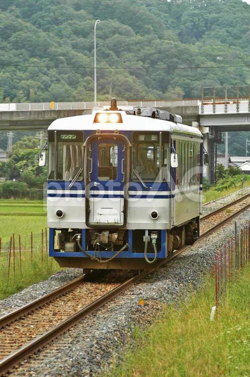智頭急行　HOT3500　 鉄道,電車,線路の写真素材