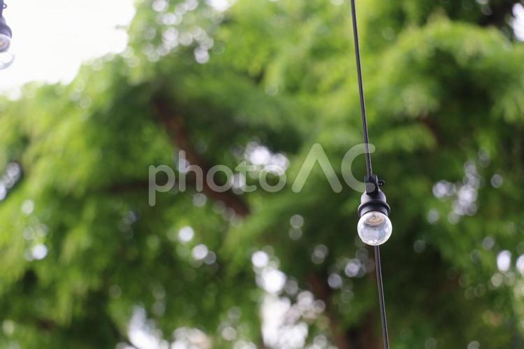 南国の植物に囲まれたカフェのイメージ＠シンガポール ランプ,裸電球,裸ランプの写真素材