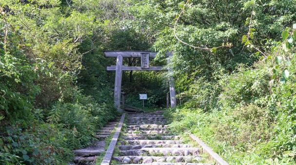緑に囲まれた階段と鳥居 緑に囲まれた階段と鳥居 榛名山,緑,囲むの写真素材