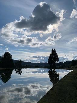 野池 野池の写真