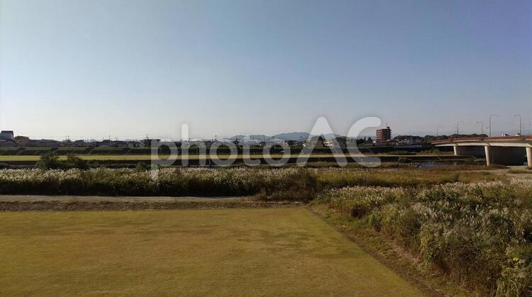 小山市を流れる思川の河川敷 河川敷,すすき,ススキの写真素材